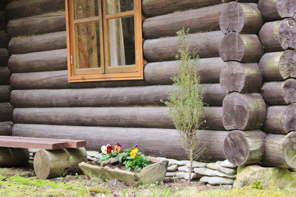 Kuuli Puhkemajad Hotel Tagaranna Стая снимка